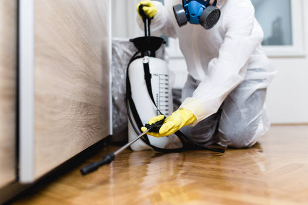 Professional Pest Control in Cicero, IN