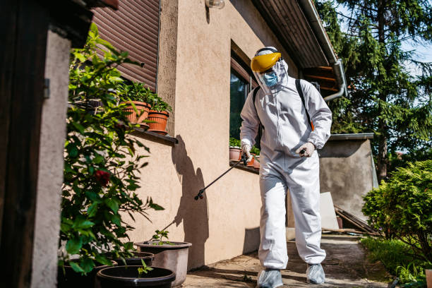 Insect Control in Cicero, IN