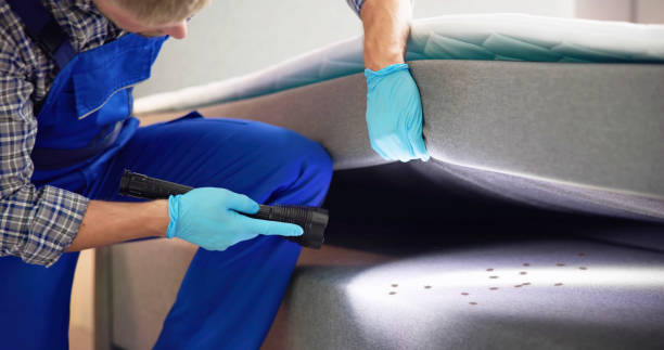 Best Bed Bug Extermination  in Cicero, IN