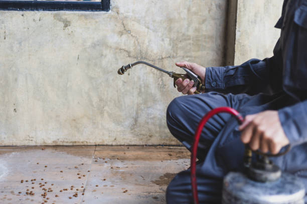 Best Wasp Removal Services  in Cicero, IN
