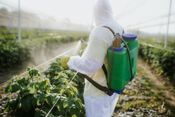 Best Insect Control  in Cicero, IN